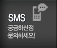 (주)피데스코리아 SMS
